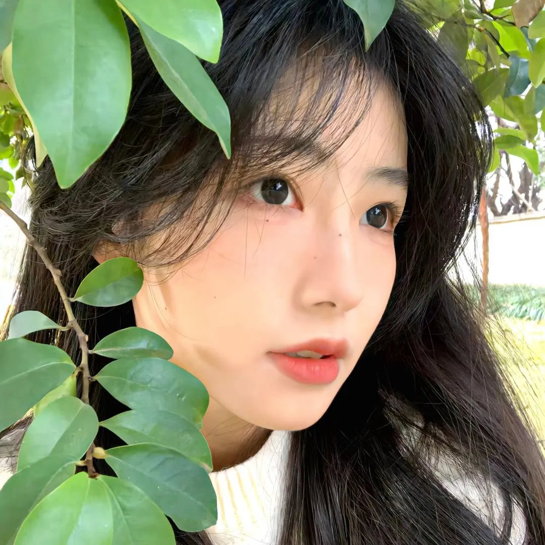 僵尸博主 在线观看